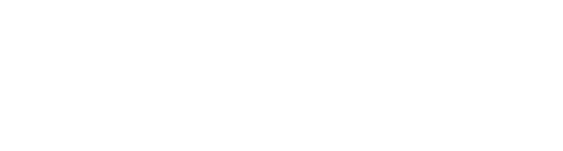 DOC logo white