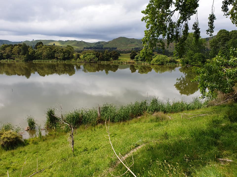 Lake Oporoa mahi post image 2