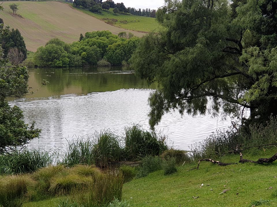 Lake Oporoa mahi post image 3