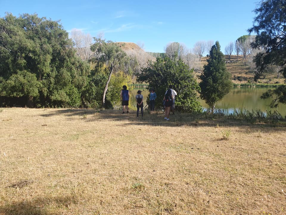 Lakes380 Oporoa post image 3