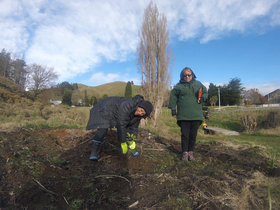Moawhango Planting 1