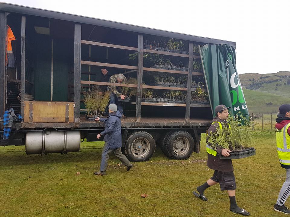 Moawhango kura planting day post image 3
