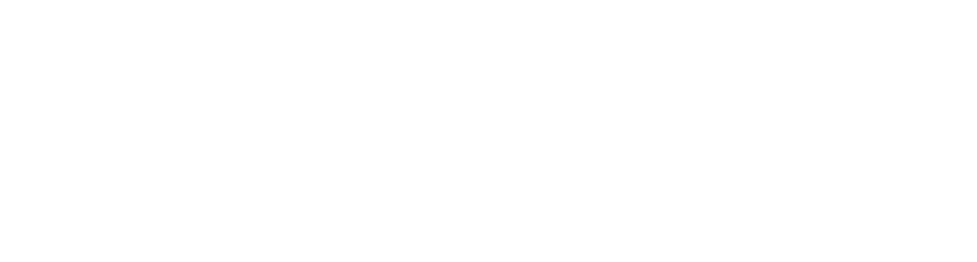 RDC_logo white