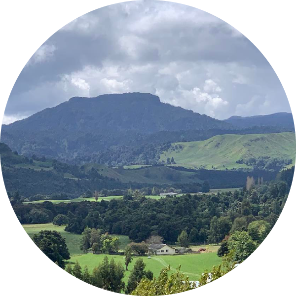 whenua maori (circle)