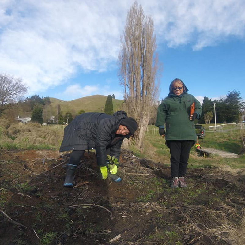 Moawhango Planting (800x800)