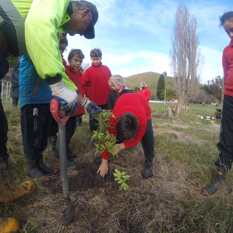 Moawhango School Planting (800x800)