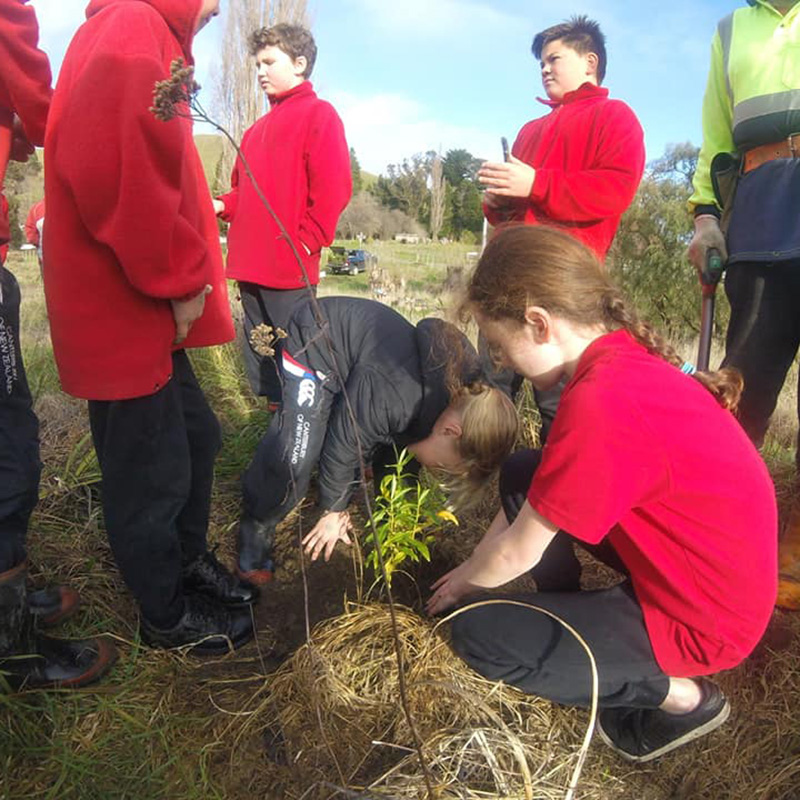 Moawhango kura planting day v2 (800x800)