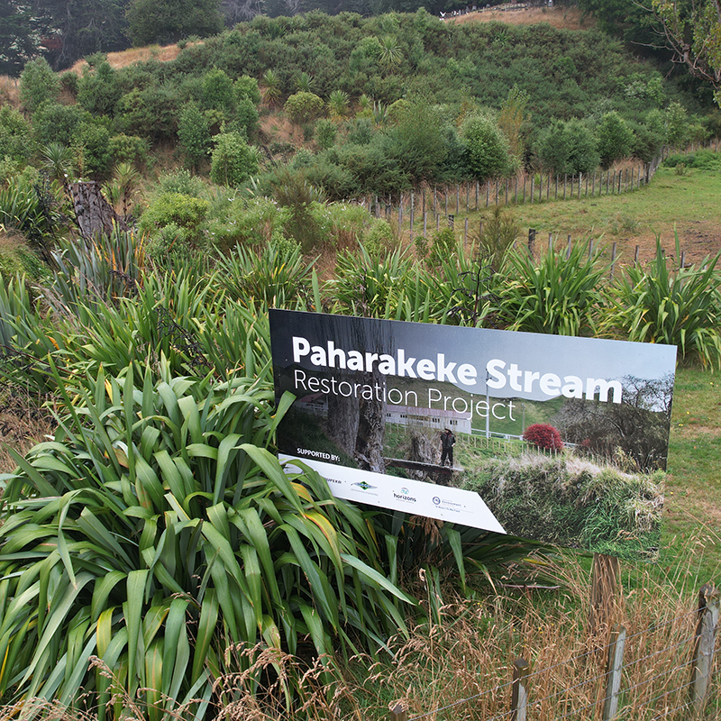 Paharakeke sign (800x800)
