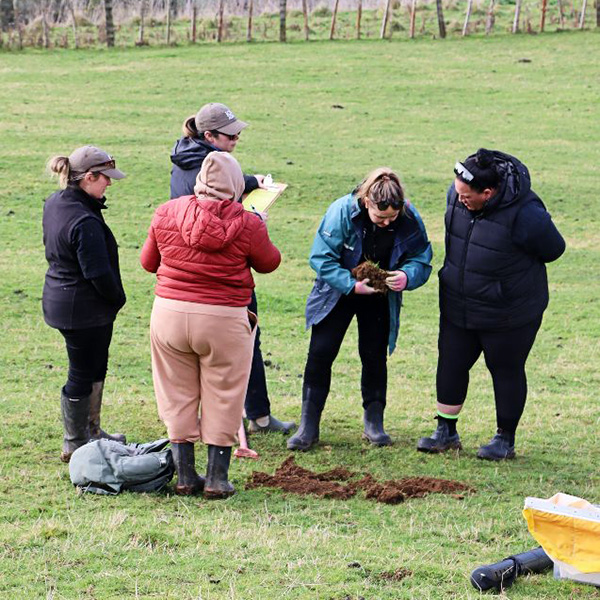 Whenua Maori Unit | Ngā Puna Rau o Rangitīkei