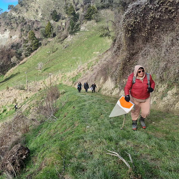 Whenua Maori Unit (600x600) 3
