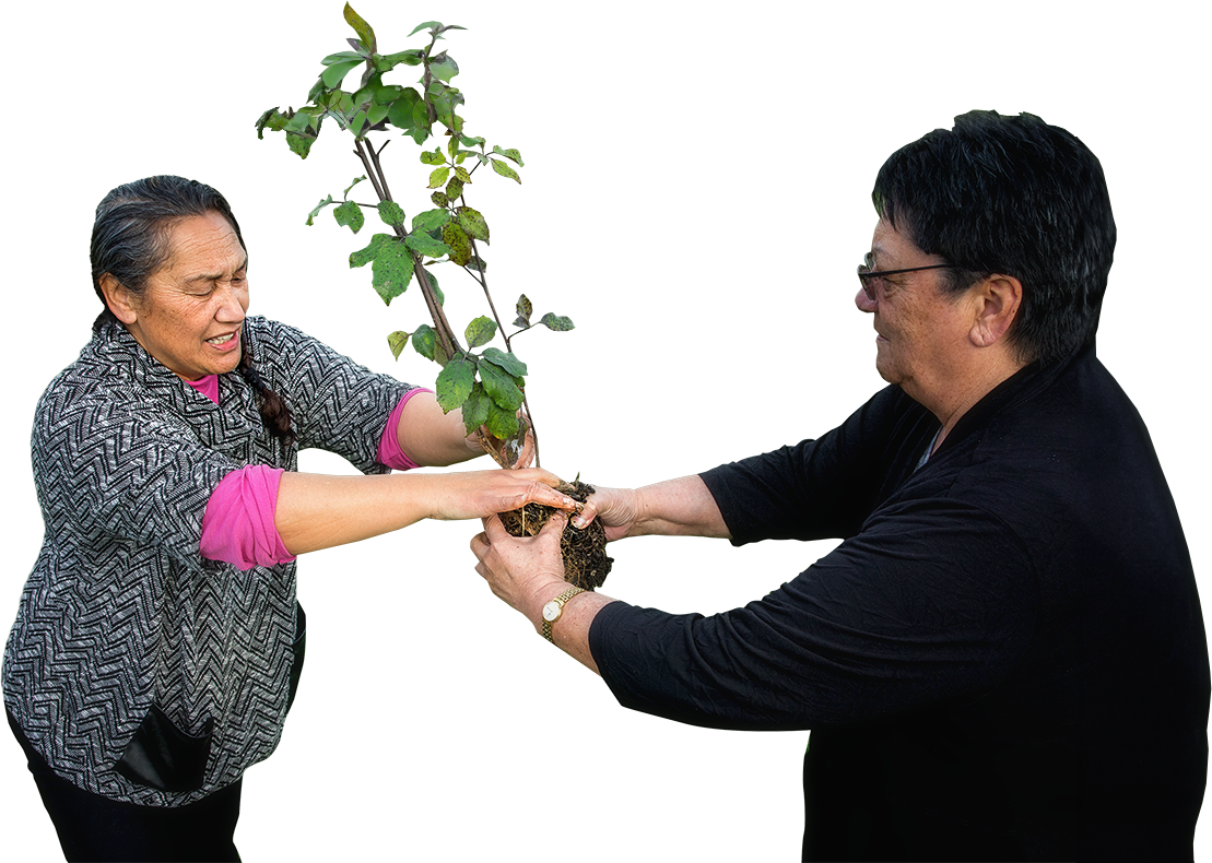 ladiesplant2